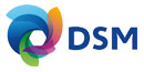DSM OUTDOOR TEAM BUILDING