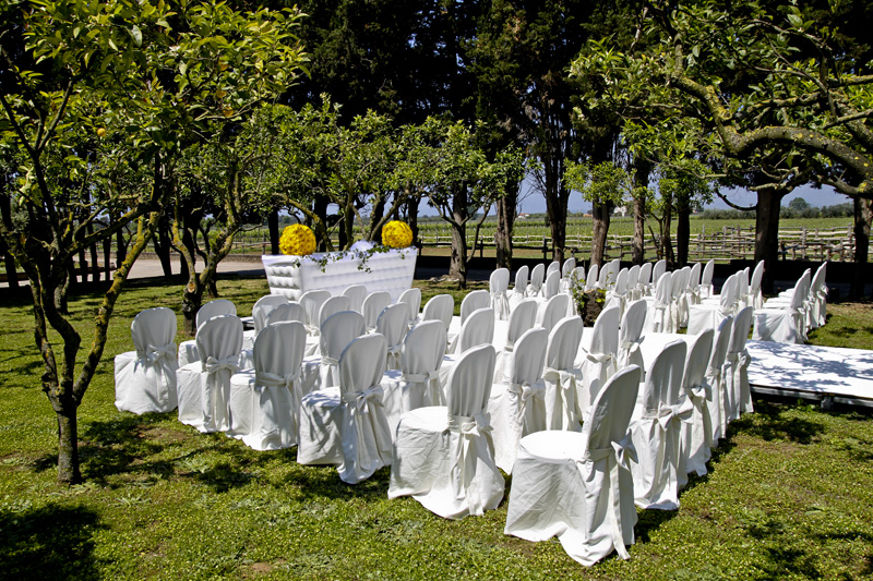 SCENE DA UN MATRIMONIO